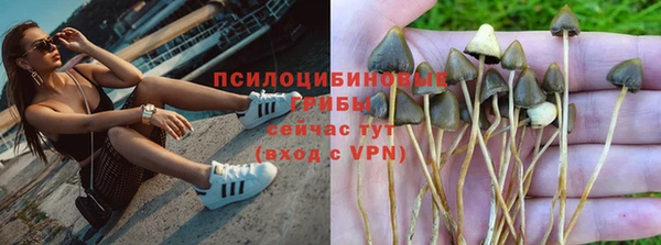 соль курить ск Алзамай