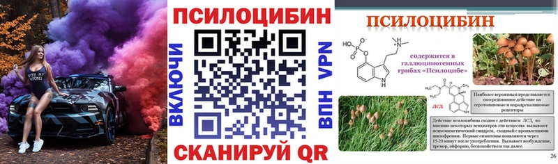 наркотики  Куртамыш  гидра маркетплейс  Галлюциногенные грибы мухоморы 